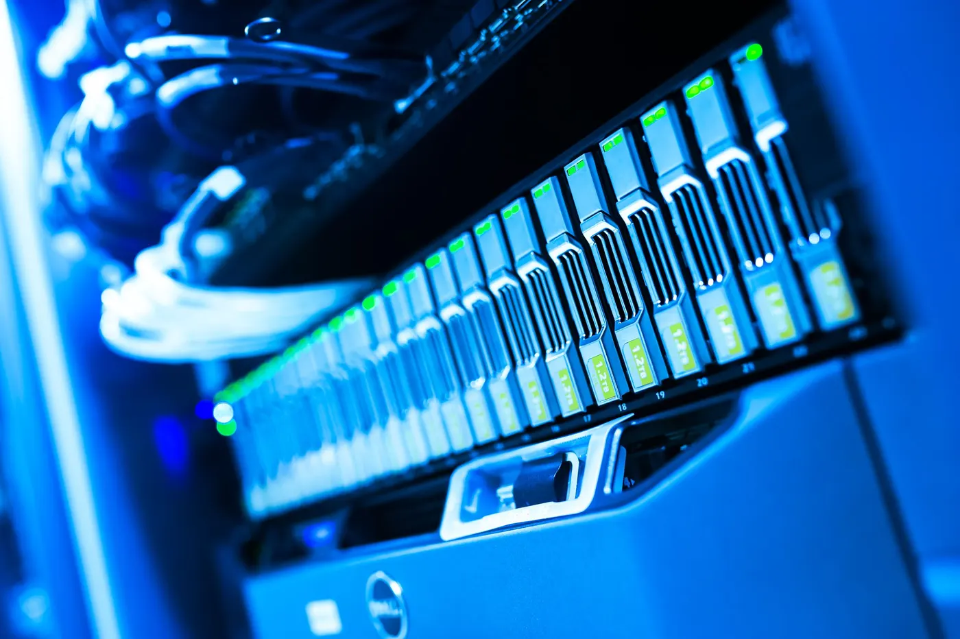 Close-up of server hard drive bays with status lights